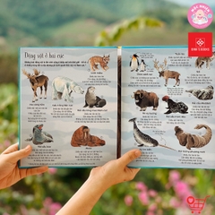 Big Book - Cuốn sách khổng lồ về các loài động vật khổng lồ - Đinh Tị Books