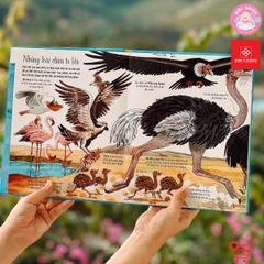 Big Book - Cuốn sách khổng lồ về các loài động vật khổng lồ - Đinh Tị Books