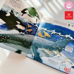 Big Book 168N - Cuốn sách khổng lồ về các loài động vật biển - Đinh Tị Books