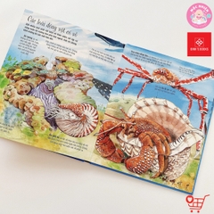 Big Book 168N - Cuốn sách khổng lồ về các loài động vật biển - Đinh Tị Books