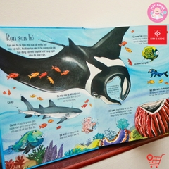 Big Book 168N - Cuốn sách khổng lồ về các loài động vật biển - Đinh Tị Books
