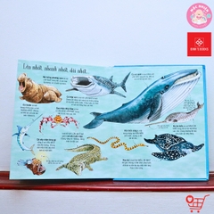 Big Book 168N - Cuốn sách khổng lồ về các loài động vật biển - Đinh Tị Books