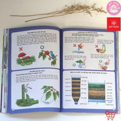 Combo 03 cuốn Sách - Thoát nạn trong tích tắc - Đinh Tị Books