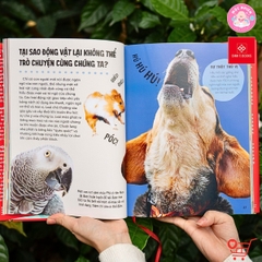 Sách - Bách khoa thư Britannica cho trẻ em (Dành cho độ tuổi 6+) - Đinh Tị Books