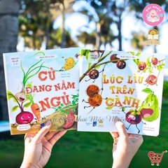 Combo 06 cuốn sách Muôn điều kì diệu (03 phần) - Lionbooks