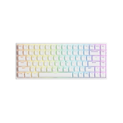 Bàn phím cơ AKKO 3084 v2 RGB - Black / White (Hotswap 5pin/ Có dây)