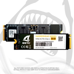 Ổ Cứng SSD SSTC HAMMERHEAD E21 512GB M2 NVMe Gen4x4 (SSTC-PHI-E21512)