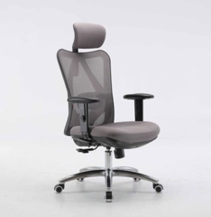 GHẾ CÔNG THÁI HỌC SIHOO M18