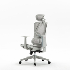 GHẾ CÔNG THÁI HỌC SIHOO M91C-201