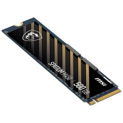 Ổ CỨNG SSD MSI SPATIUM M450 500gb M2 2280 NVMe Gen4x4 (READ 3600Mb/s - WRITE 2300Mb/s)