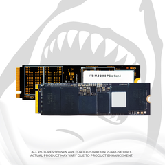 Ổ CỨNG SSD SSTC HAMMERHEAD NVMe M.2 E18 1TB GEN 4x4 (SSTC-PHI-E181024)