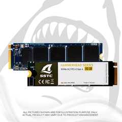 Ổ Cứng SSD SSTC HAMMERHEAD E19T 512GB M2 NVMe Gen4x4 (SSTC-PHI-E19512)