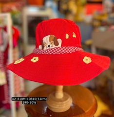 Nón rộng vành DZ-810M(51cm)