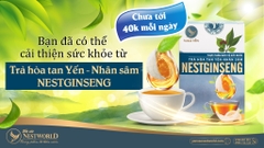 TRÀ HÒA TAN YẾN NHÂN SÂM – NESTGINSENG: HƯƠNG VỊ THƠM NGON, DỄ SỬ DỤNG CHO MỌI NGƯỜI