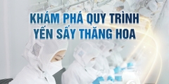 KHÁM PHÁ QUY TRÌNH YẾN SẤY THĂNG HOA CỦA NESTWORLD