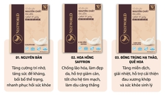[Hỏa tốc HCM] Yến chưng tươi thanh trùng Nestfresh100ml - Vị Dừa Tươi
