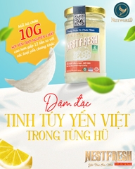 [Hỏa tốc HCM] Yến chưng tươi thanh trùng Nestfresh100ml - Vị Cam - Mật Ong