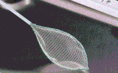 Vợt hớt dị vật