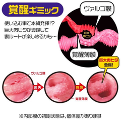 La vie en ROSES Mattari Soft - Magic eyes Onahole