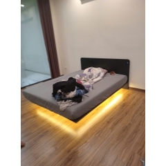 Giường Ngủ Gỗ Giấu Chân, Giường Bay Tích Hợp Đèn LED Yapi-535 202x20cm (DàixCao)