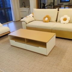 Bàn Trà Sofa 2 Ngăn Kéo Phong Cách Hiện Đại 120x60x40cm Yapi-702