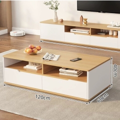 Bàn Trà Sofa 2 Ngăn Kéo Phong Cách Hiện Đại 120x60x40cm Yapi-702