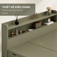 Giường Ngủ Gỗ Đa Năng Có Ngăn Kéo Tích Hợp Kệ Đầu Giường Lọt nệm 1m6x2m Yapi-XGN001