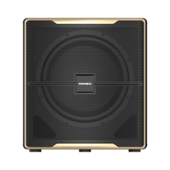 LOA SUB PARAMAX Z - SUB BASS 30