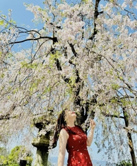 Nhật Bản