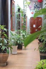 Căn hộ dịch vụ, homestay/ Serviced apartment, homestay theo ngày/ tuần/ tháng