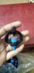 Béc Tròn Cầu Xanh