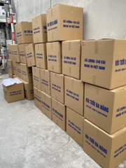 Vòi Tưới Cây Đa Năng Đầu Nối Nhanh