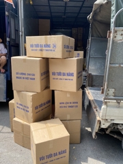 Vòi Tưới Cây Đa Năng Đầu Nối Nhanh