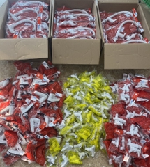 Vòi Hồ Zemart 21 Gạt, WATERTEC Nhập Khẩu MALAYSIA Nhựa ABS Cao Cấp, Chuẩn Xịn, BH 6 Năm