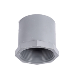 Nối Ren Trong 27 PVC, Tiền Phong