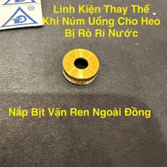 Nắp Bịt Vặn Ren Ngoài Đồng Vàng, Linh Kiện Tháy Thế Cho Núm Uống Nước Cho Heo