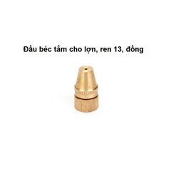 Đầu Béc Đồng 13, Tắm Cho Heo