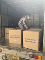 Vòi Tưới Cây Đa Năng Đầu Nối Nhanh