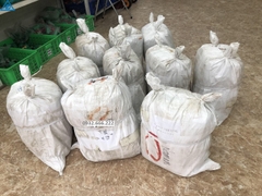 Núm Uống Tiết Kiệm Nước Cho Heo Dạng Núm Mỏ Vịt