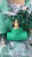 Van Hàn Nhiệt PPR 20, Van Cửa Đòng Mở 100%, Chất Liệu Nhựa PPR, Mày Xanh, Tay Vô Lăng