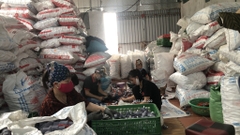 Van Nhựa Tay Cam, Van Nhựa Không Vỏ, Van Có Chân, Tay Vặn Nhẹ, Chất Liệu Nhựa PVC