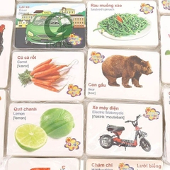 Bộ Thẻ Học 16 Chủ Đề Song Ngữ Anh Việt Có 416 Thẻ