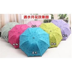 Dù Đi Mưa Nở Hoa Khi Gặp Nước