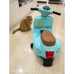 Xe Máy Điện Vespa H1