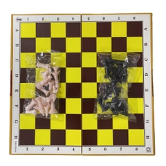Bộ Cờ Vua Cỡ Lớn Chuẩn Quốc Tế Hộp Nhựa Xếp Gọn Kích Thước 42x42cm