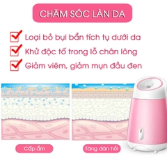 Máy Xông Hơi Mặt Hoa Quả Tươi Tự Động 2 In 1 Tiện Dụng Nhỏ Gọn GloShop