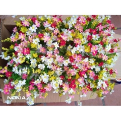 Hàng rào hoa cúc nhí giả 30x10cm