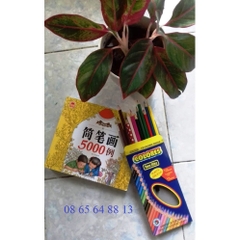 Tập Tô Màu 5000 Hình Kèm Hộp Bút Chì Màu