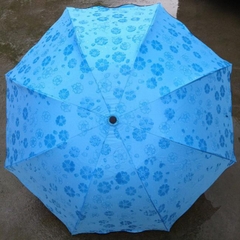 Dù Đi Mưa Nở Hoa Khi Gặp Nước