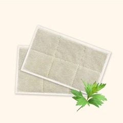 1 Miếng Dán Thảo Dược Ngải Cứu Thải Độc Cho Khung Nắn Chỉnh Cột Sống Sưởi Điện